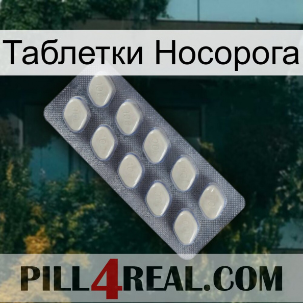 Таблетки Носорога 08.jpg